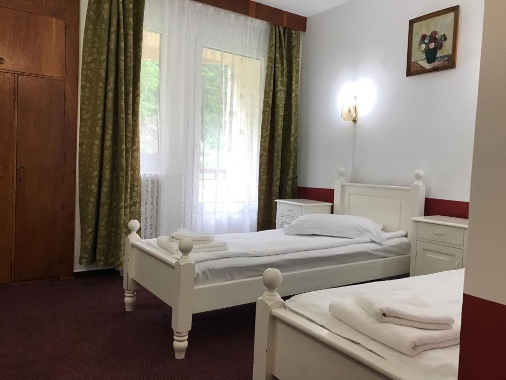 Hotel Hefaistos - Sovata Εξωτερικό φωτογραφία